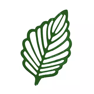 12 Hojas Caladas Verdes