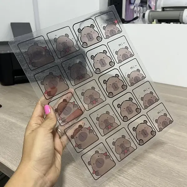 Fotografico Adhesivo Transparente *10 Hojas