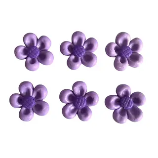 6 Flores Lilas