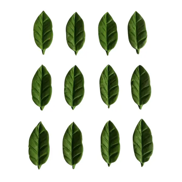 12 Hojas Pequeñas