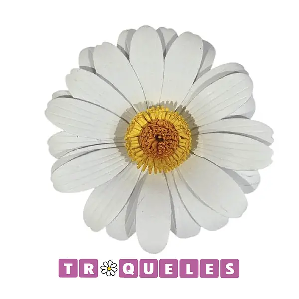 4348 Troquel Margarita