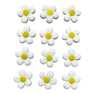 12 Flores Blancas Centro Amarillo