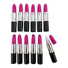 12 Lapiceros En Forma De Labial