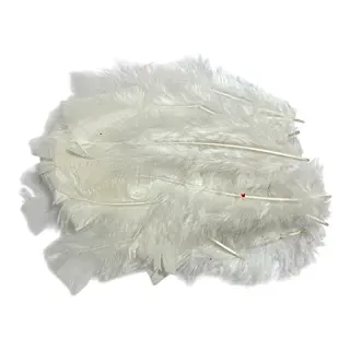Plumas De Color Blanco * 24 Unidades