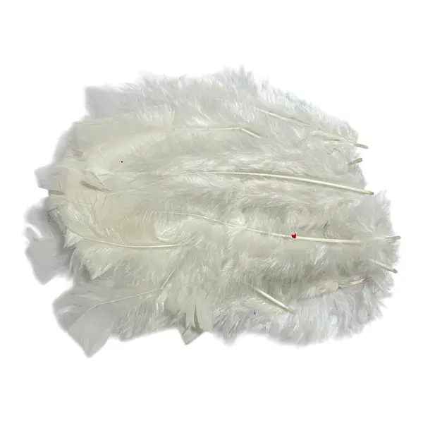 Plumas De Color Blanco * 24 Unidades