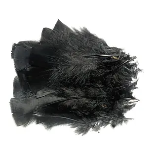 Plumas De Color Negro * 24 Unidades
