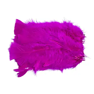 Plumas De Color Fucsia * 24 Unidades