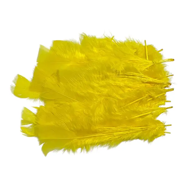 Plumas De Color Amarillo * 24 Unidades