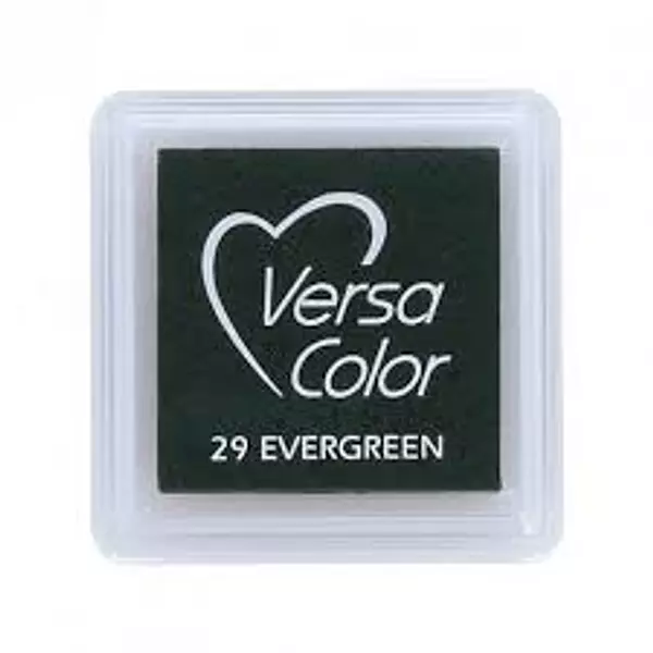 Tinta Versa Color 29 Evergreen