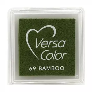 Tinta Versa Color 69 Bamboo
