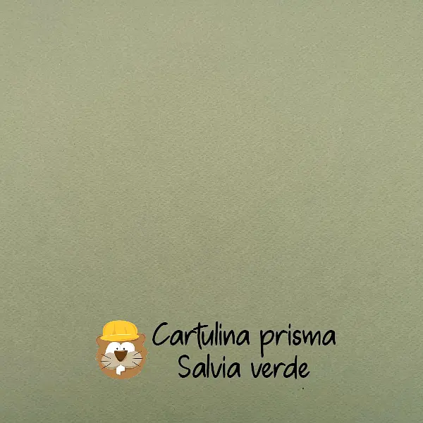 10 Hojas Cartulina Prisma Salvia Verde (220 Gr)