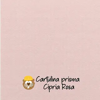 10 Hojas Cartulina Prisma Cipria Rosa (220 Gr)