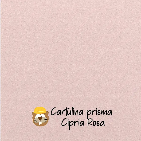 10 Hojas Cartulina Prisma Cipria Rosa (220 Gr)