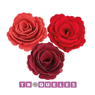 4430 Troquel Flor En Espiral
