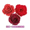 4430 Troquel Flor En Espiral