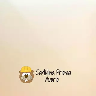 10 Hojas Cartulina Prisma Avorio (220 Gr)