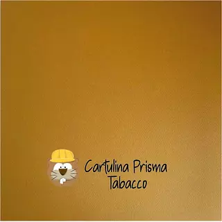 10 Hojas Cartulina Prisma Tabacco (220 Gr)