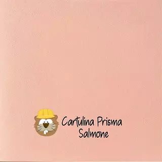 10 Hojas Cartulina Prisma Salmone (220 Gr)