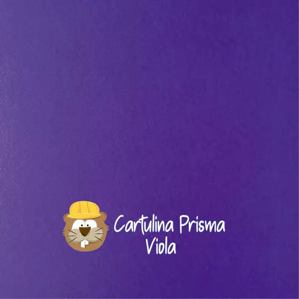 Hoja Cartulina Prisma Viola (220 Gr)