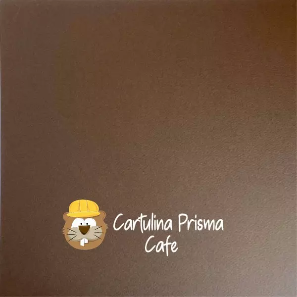 Hoja Cartulina Prisma Cafe (220 Gr)