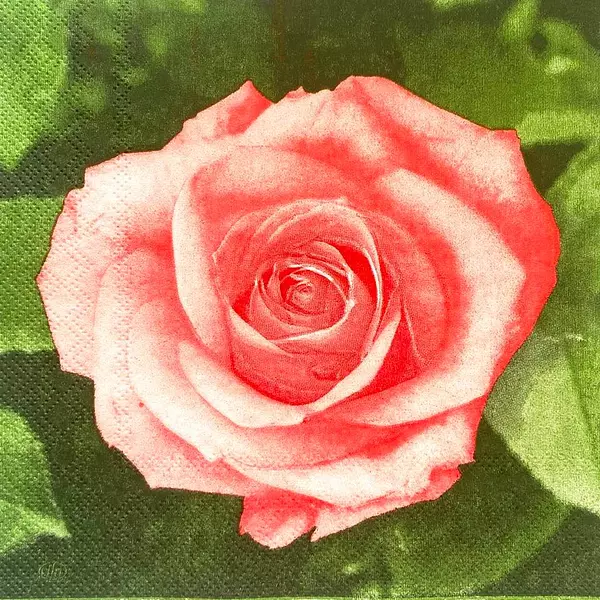 Servilleta Decorativa Rosa