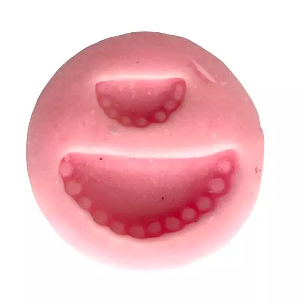 Molde Silicona Empanaditas