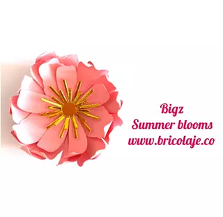 663860 Bigz summer blooms