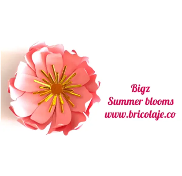 663860 Bigz summer blooms