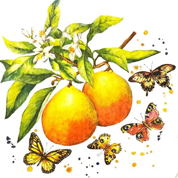 Servilleta Decorativa Naranjas