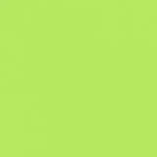 10 Cartulina Burano Verde Prato (250 Gr)