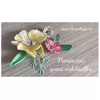 Flores con Goma Moldeable Sizzix