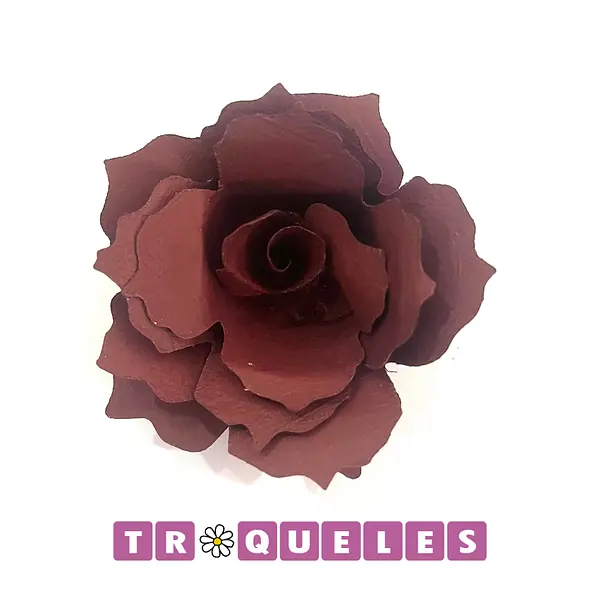 3401 Troquel Flor de Espiral