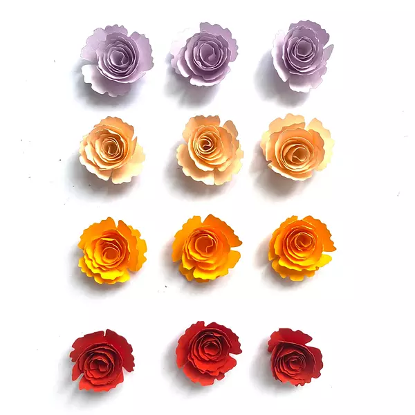 12 Flores de Espiral Puntas Colores Surtidos