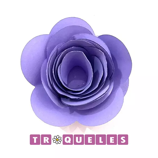 3426 Troquel Plus Flor de Espiral